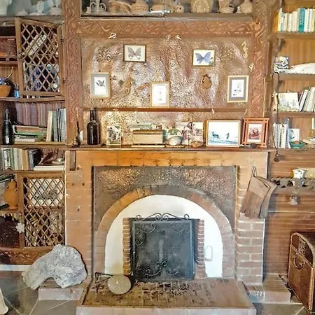 Dinos' House
