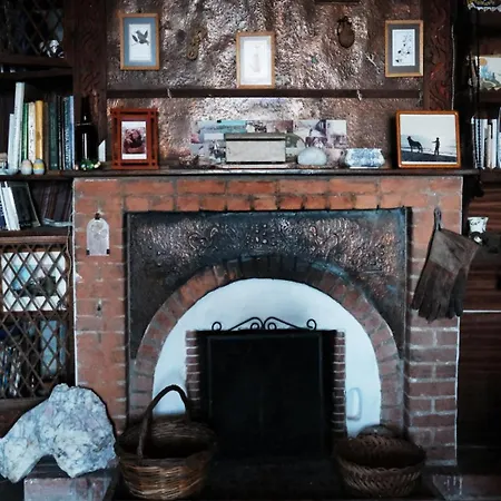 Dinos' House *